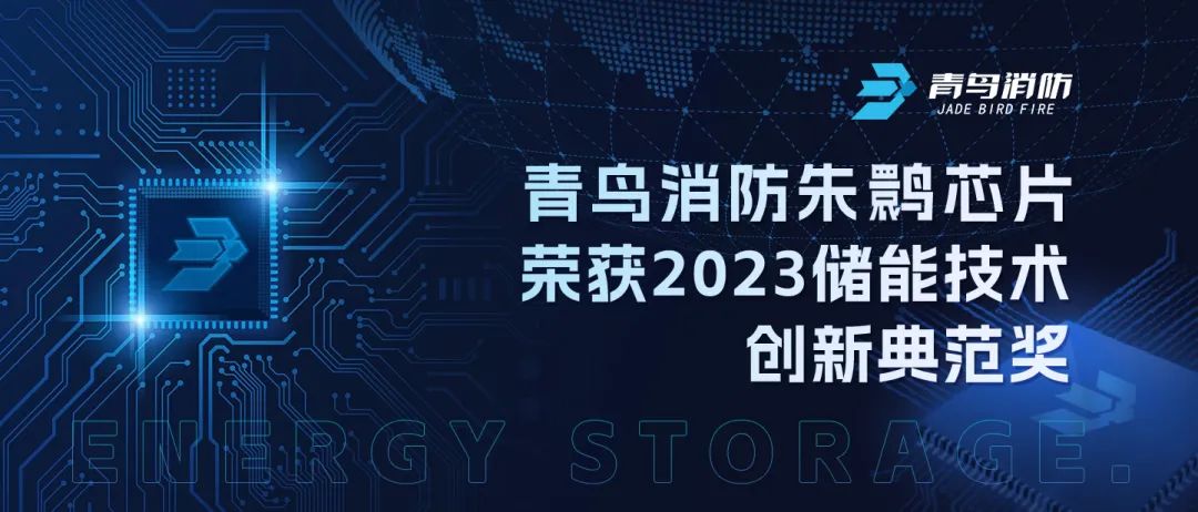 尊龙凯时人生就是博z6com朱鹮芯片荣获2023储能技术创新典范奖